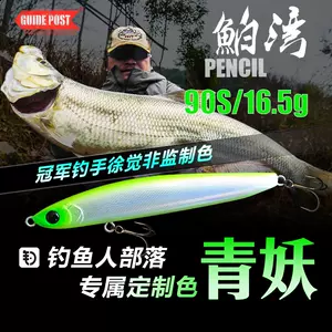 Lure fishing 假餌釣魚路亞（海鱸餌）Duel 90S Sinking 日本餌, 運動產品, 釣魚- Carousell