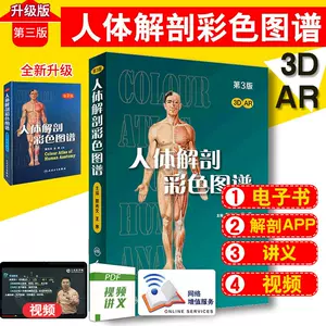 正常人体解剖图- Top 100件正常人体解剖图- 2023年10月更新- Taobao
