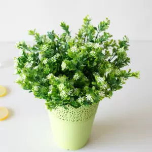 水草摆饰 新人首单立减十元 22年4月 淘宝海外