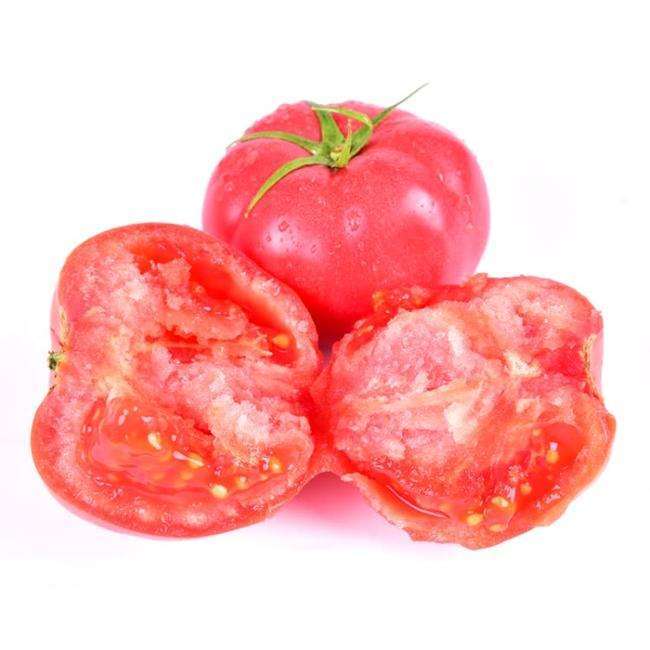 0已售6件9￥潍坊润吉鲜番茄火锅底料清香汤料现摘粉色带沙西红柿制作