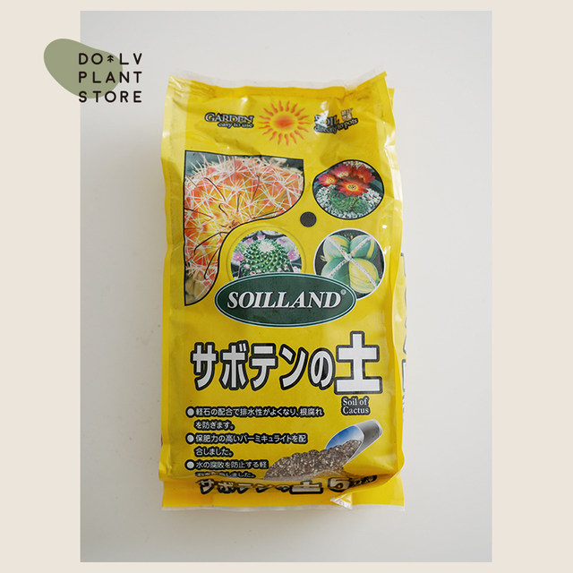 DOLV bean green beautiful plant nutrition soil foliage plant succulent cactus high temperature sterilization soil for home and gardening