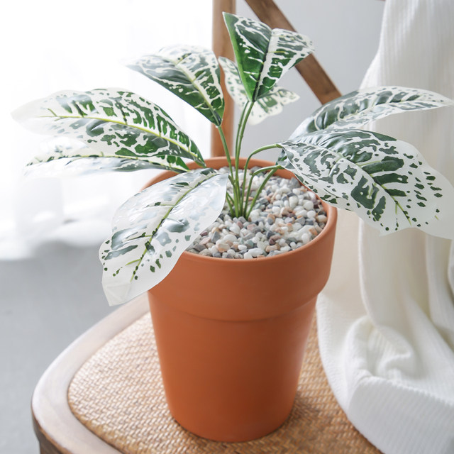 Red pottery flower pot international tall and thin round wide-edged clematis rose green plant large clay breathable pot clearance