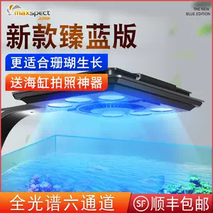 海水led 新人首单立减十元 22年3月 淘宝海外