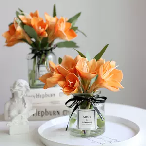 朱頂蘭 新人首單立減十元 22年8月 淘寶海外