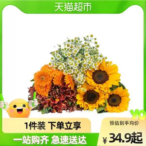 非洲菊花束 新人首单立减十元 22年10月 淘宝海外 非洲菊花束 新人首单立减十元 22年10月 淘宝海外