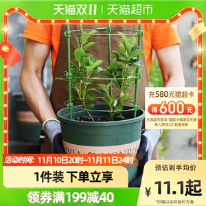 月季花架 新人首单立减十元 22年11月 淘宝海外