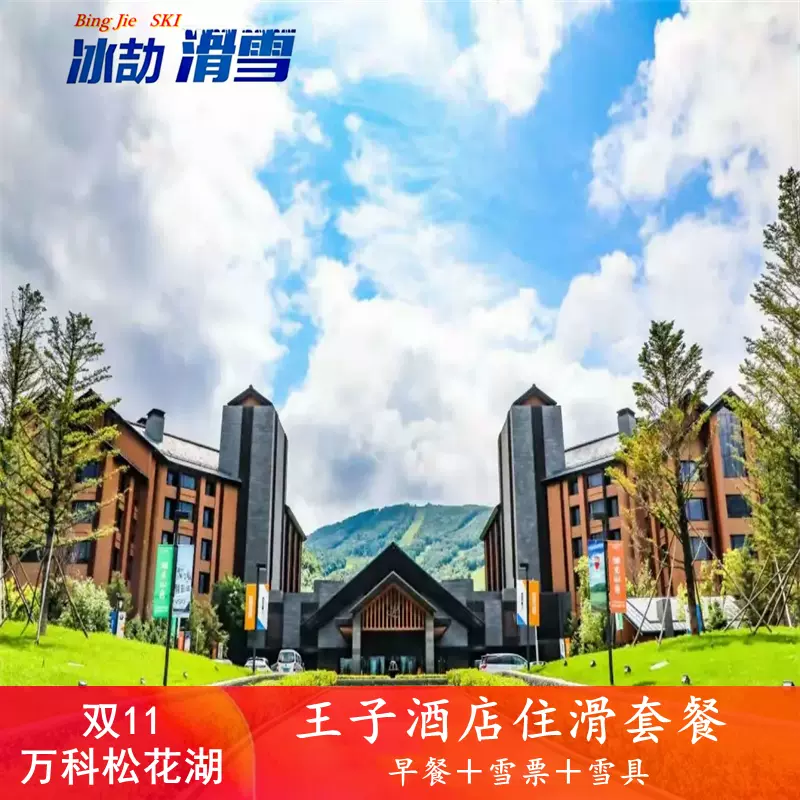 松花湖王子 新人首单立减十元 21年11月 淘宝海外