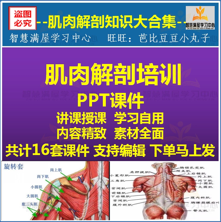 Ppt人体 新人首单立减十元 2021年12月 淘宝海外