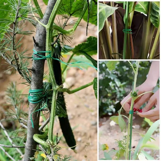 Iron wire gardening strapping wire multi-functional tie plastic climbing vine fixed tie wire bundled fixed tie wire thin iron wire