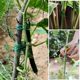 Iron wire gardening strapping wire multi-functional tie plastic climbing vine fixed tie wire bundled fixed tie wire thin iron wire