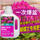 Phalaenopsis special fertilizer nutrient solution to promote flowering arrow flower fertilizer water-soluble fertilizer nutrient fertilizer orchid organic hydroponic liquid fertilizer