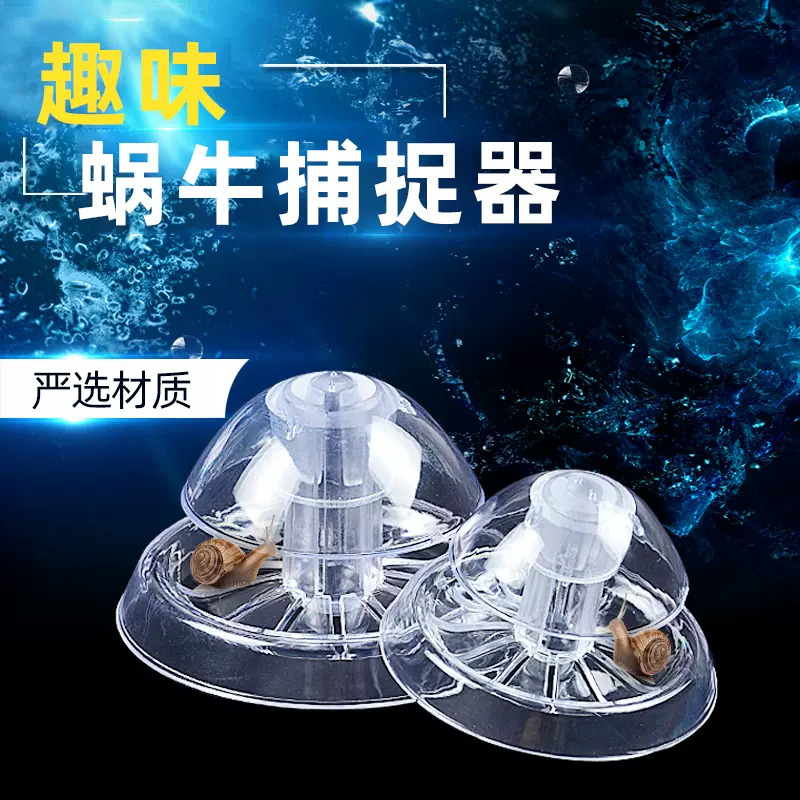 鱼缸除蜗牛 新人首单立减十元 21年10月 淘宝海外