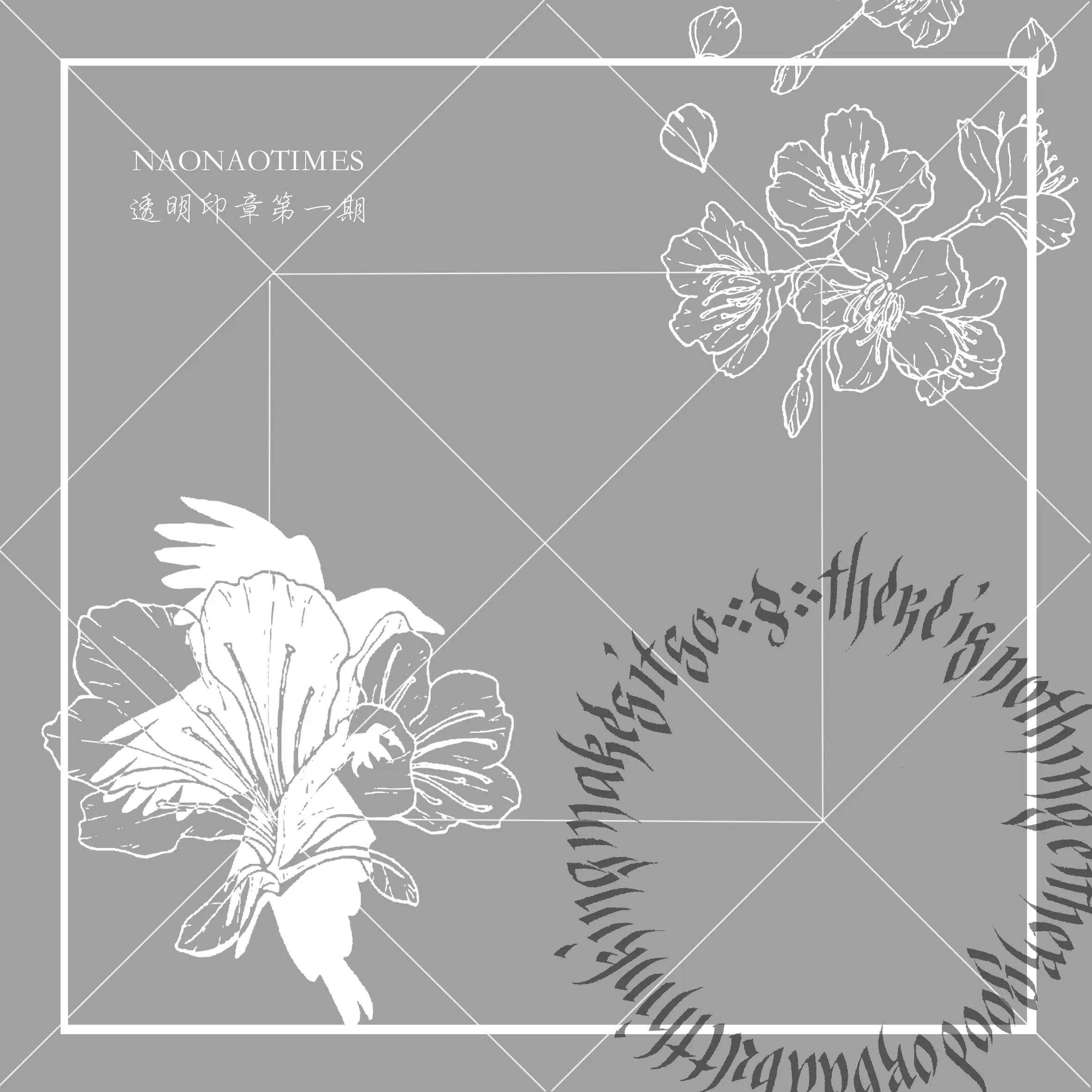 花鸟风月 新人首单立减十元 21年11月 淘宝海外