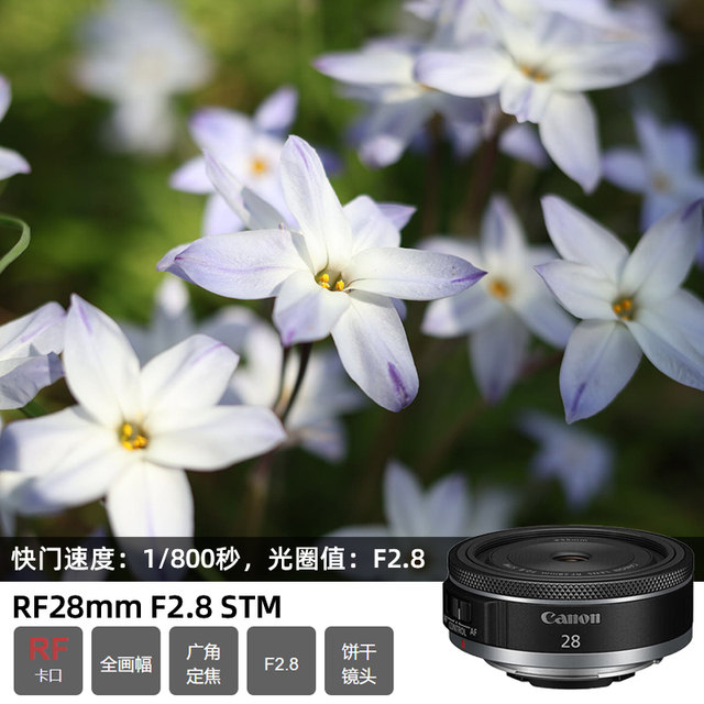 Canon RF28mm F2.8 STM Portrait Fixed Focus Large Aperture Lens Biscuit Head