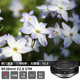 Canon RF28mm F2.8 STM Portrait Fixed Focus Large Aperture Lens Biscuit Head