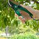 Imported ECHO flower pruning shears small manual gardening shears home bonsai green plant pruning tools