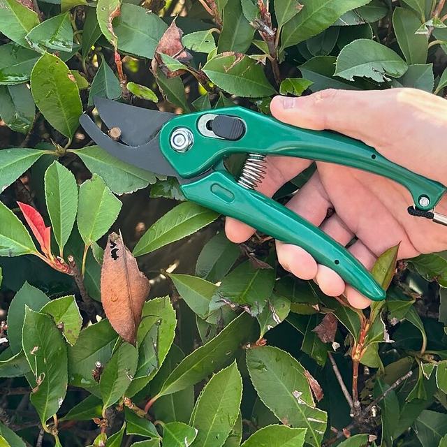 Imported ECHO flower pruning shears small manual gardening shears home bonsai green plant pruning tools