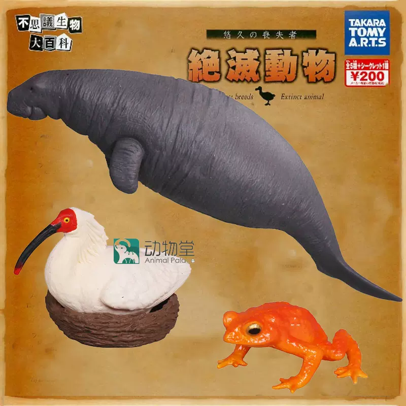 動物堂 Takara Tomy滅絕動物朱䴉海牛金蟾蜍玩具模型
