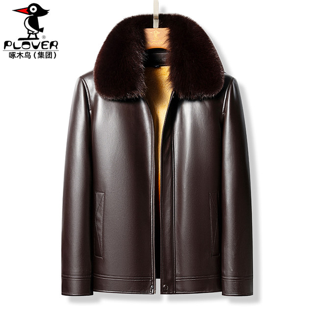 Golden Mink's Bile Pygmo Pyreal Male Fox Mao Wool Thick Cotton ...