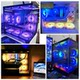 Intel Core 14th Generation i5 14600KF box with MSI z790/b760 series motherboard CPU set