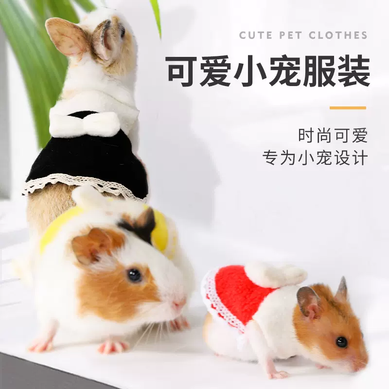 仓鼠衣服迷你小号牵引绳荷兰猪龙猫花枝鼠冬季保暖过冬