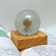 Couple diy handmade dandelion dried flower specimen ball night light material set resin glue ornaments
