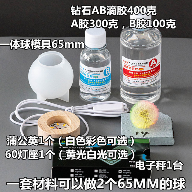 Couple diy handmade dandelion dried flower specimen ball night light material set resin glue ornaments