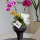 Simple flowerpot Cymbidium orchid Phalaenopsis Large diameter high-end flower pot plant potted tall bonsai Internet celebrity flower pot