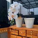 Export foreign trade French creative personality modern home furnishing succulent green plants Phalaenopsis colored akarokaro ceramic small flower pot
