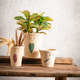 Clay flower pots, orchids and green plant flower pots, high-end breathing stoneware pots, creative simple and breathable home hand-painted flower pots