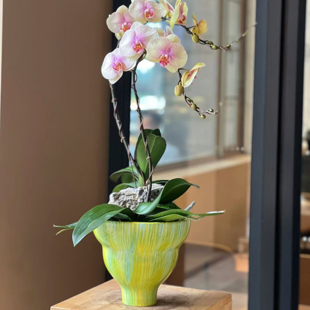 Simple flowerpot Cymbidium orchid Phalaenopsis Large diameter high-end flower pot plant potted tall bonsai Internet celebrity flower pot