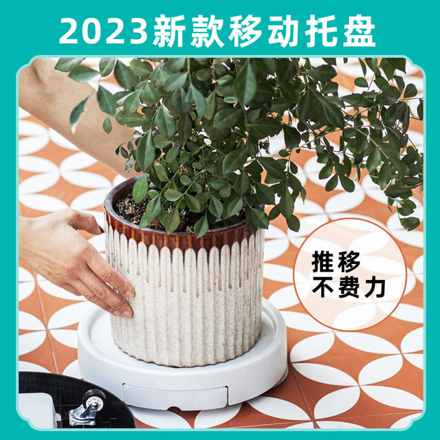 The mobile tray band the rubber wheel strap drawer -type water -connected watershed wheel hidden wheel pot can move the base