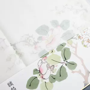 雁皮宣纸用纸 新人首单立减十元 22年3月 淘宝海外