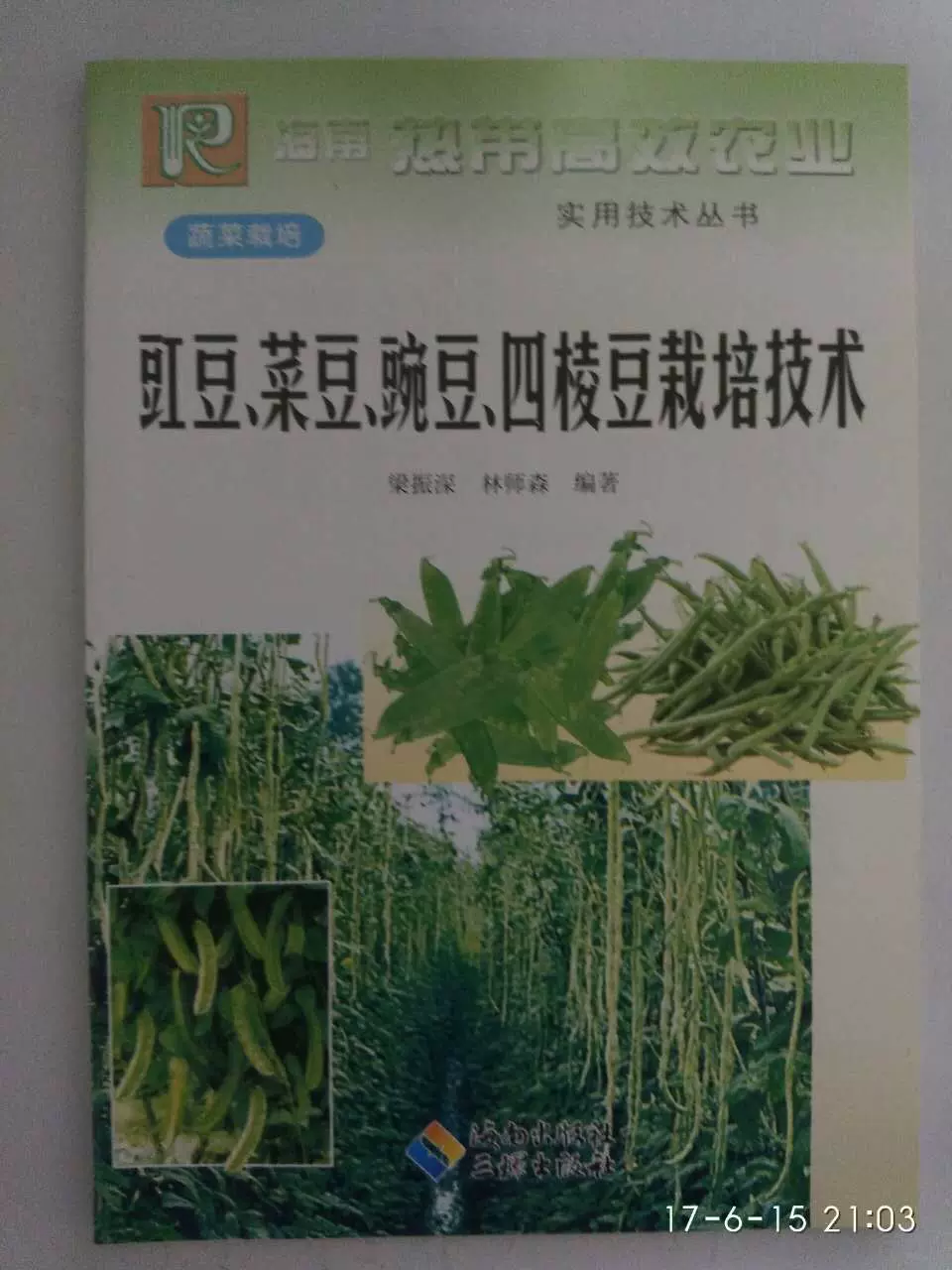 四角豆蔬菜 新人首单立减十元 21年10月 淘宝海外