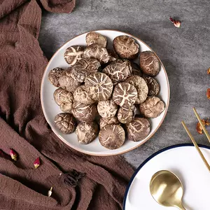 茶花香菇 新人首单立减十元 22年3月 淘宝海外