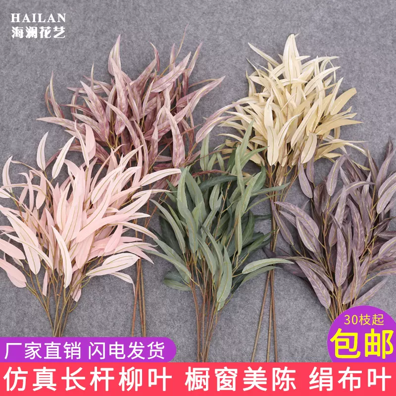 室内柳枝 新人首单立减十元 21年11月 淘宝海外