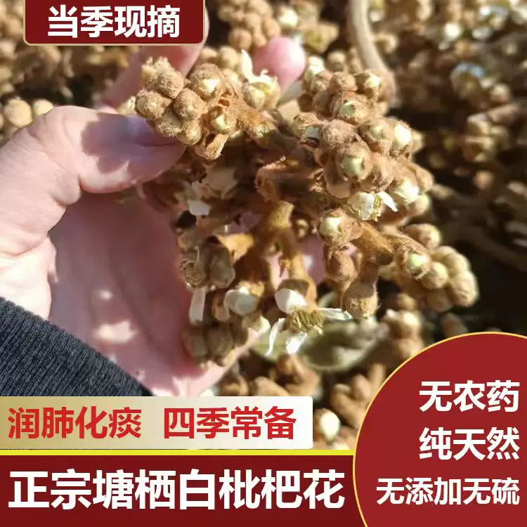枇杷花干 新人首单立减十元 21年12月 淘宝海外