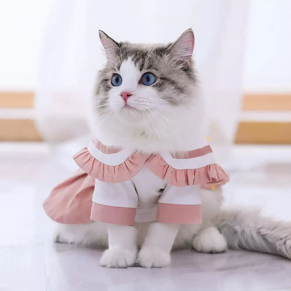 猫衣服jk夏季薄款猫咪衣服布偶猫猫可爱小猫裙子