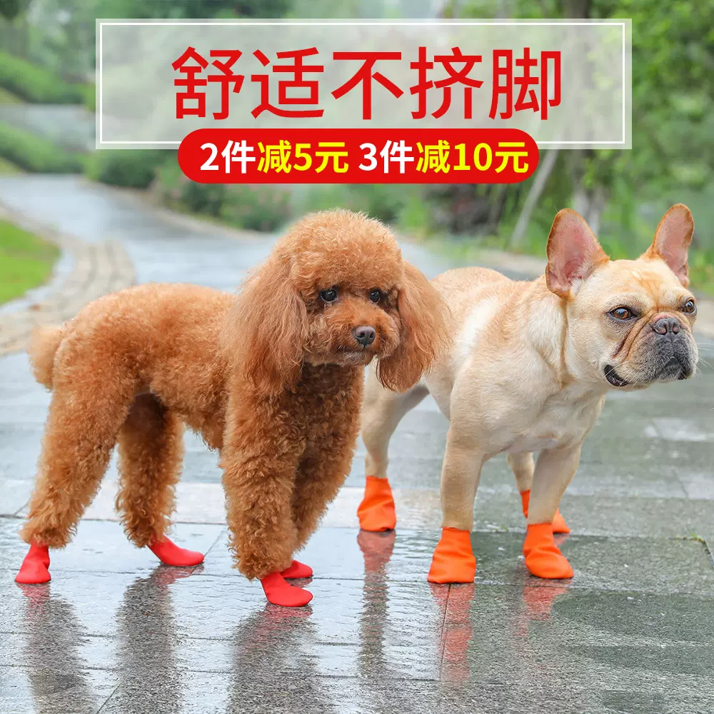 法斗犬鞋 新人首单立减十元 21年10月 淘宝海外