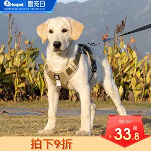 狗胸背中型犬 新人首单立减十元 22年9月 淘宝海外