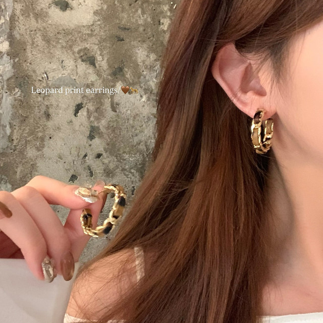 Korean style small style retro leopard print chain earrings women's high-end hoop earrings personalized hot girl earrings earrings