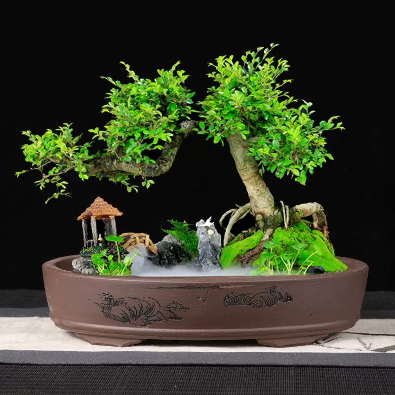 紫砂盆景盆盆栽长方形山水无孔椭圆形假山桌面微型陶瓷水底浅