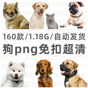 犬背景 新人首单立减十元 22年4月 淘宝海外