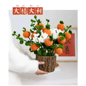 过年花盆栽 新人首单立减十元 22年8月 淘宝海外