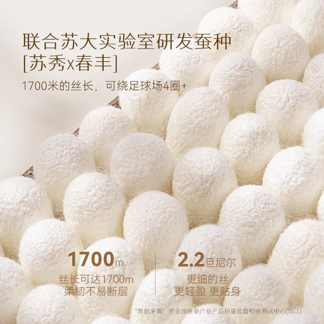 Taihu snow 100% double palace cocoon mulberry silkworm silkworm silk quilt core spring autumn child mother winter quilt official flagship authentic Qinrou