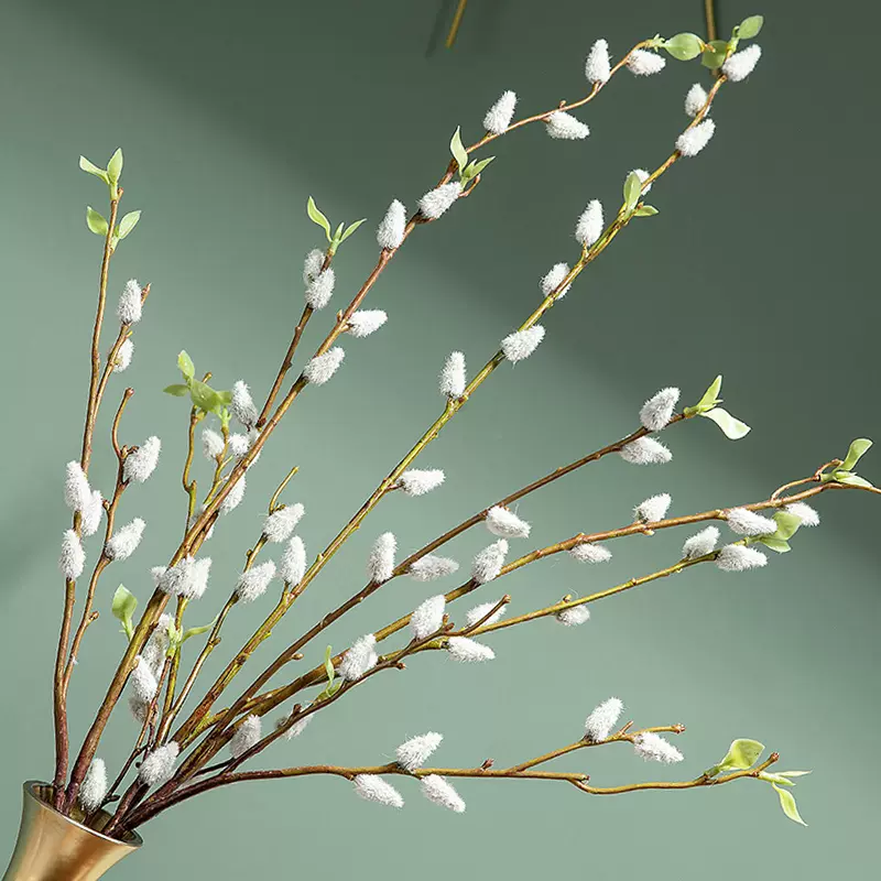 银柳花艺 新人首单立减十元 21年11月 淘宝海外