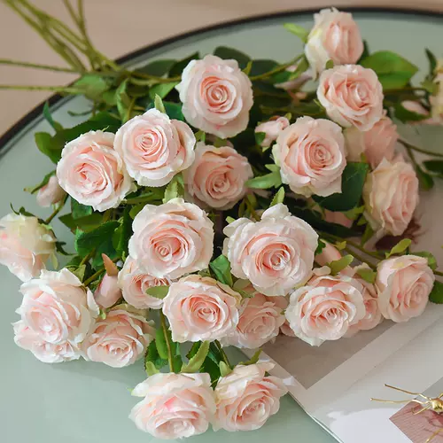 多头玫瑰花束 新人首单立减十元 22年2月 淘宝海外