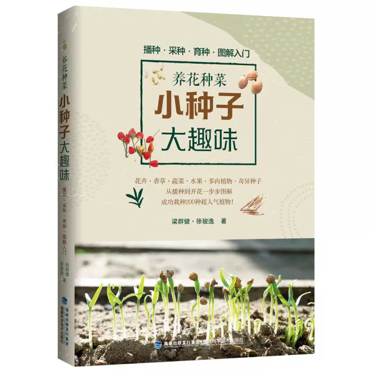 多肉植物种子种子 新人首单立减十元 21年11月 淘宝海外