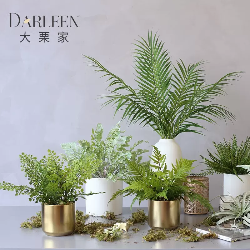 大栗家蕨类植物办公室仿真绿植小盆栽北欧ins风室内客厅 大栗家蕨类植物办公室仿真绿植小盆栽北欧ins风室内客厅