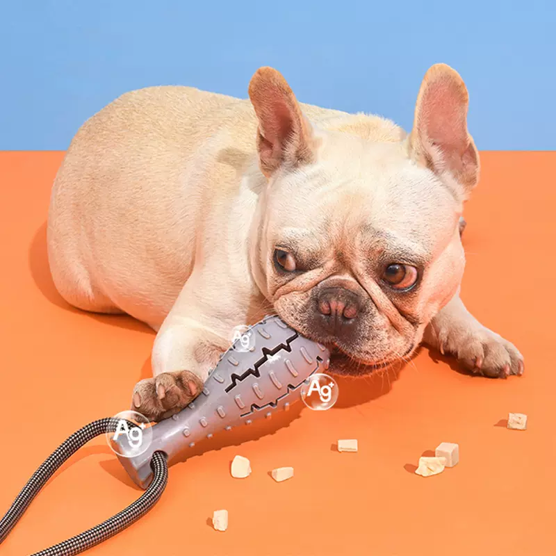 狗狗玩具球磨牙耐咬自嗨解闷神器消耗体力吸盘漏食